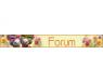 2026 Grap dier 09-forum.jpg