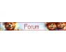 forum.jpg